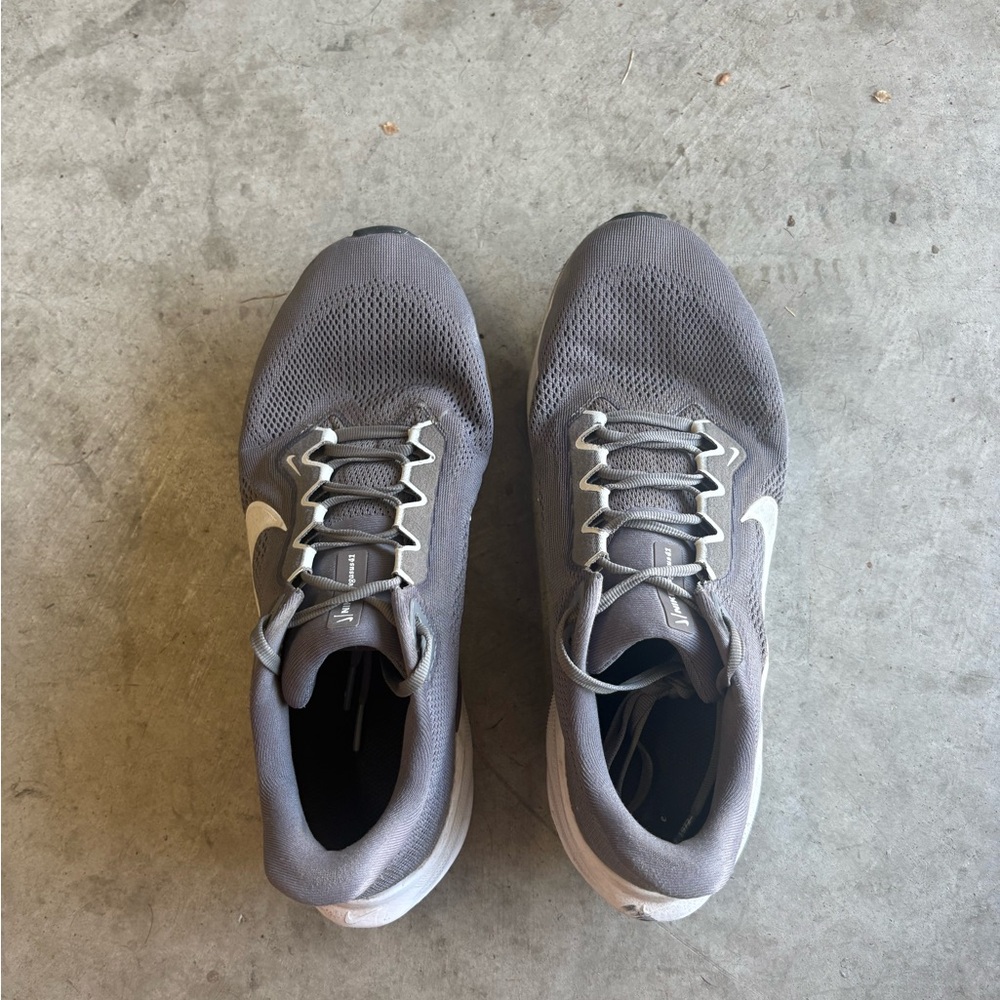 Nike Pegasus Mens